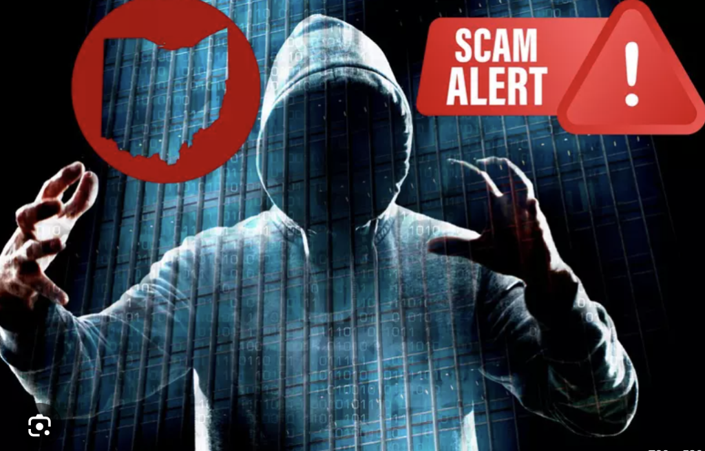 Dapps-chains.com Scam Review
